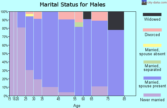 Lake Villa marital status for males