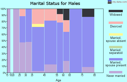 Leaf River marital status for males
