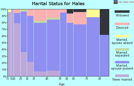 Mackinaw marital status for males