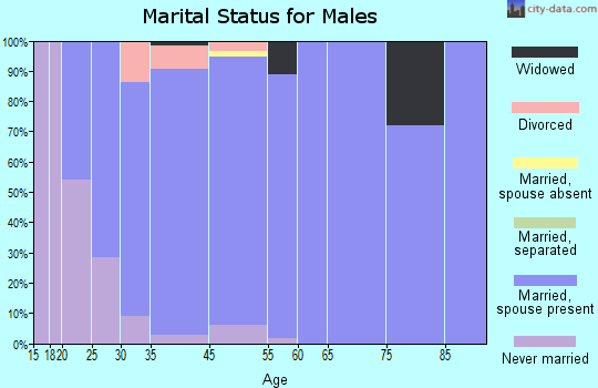 Mahomet marital status for males