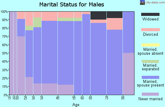 Manito marital status for males
