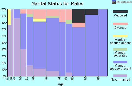 Manteno marital status for males