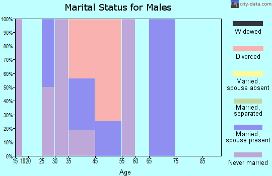 Egegik marital status for males