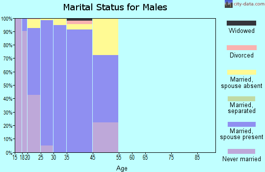 Eielson AFB marital status for males