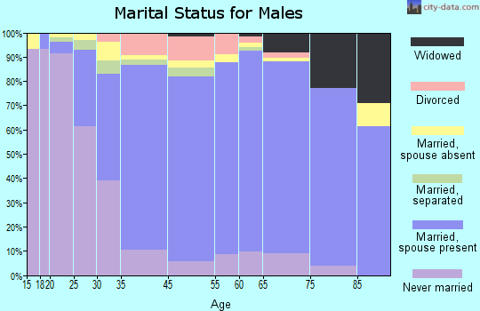 Matteson marital status for males