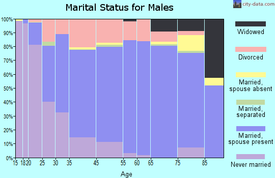 Mattoon marital status for males