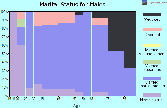 Mendon marital status for males