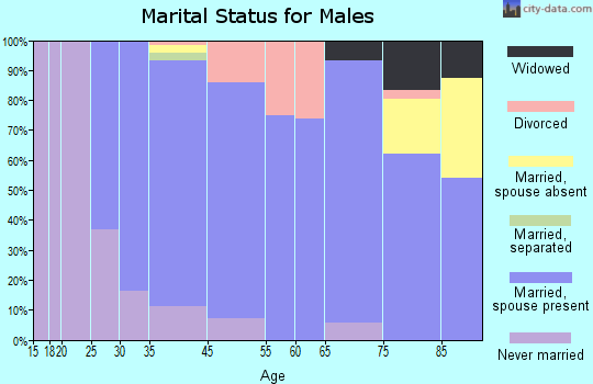 Metamora marital status for males