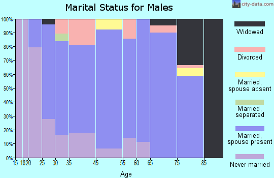 Minier marital status for males