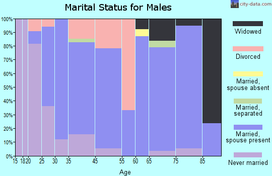 Minonk marital status for males