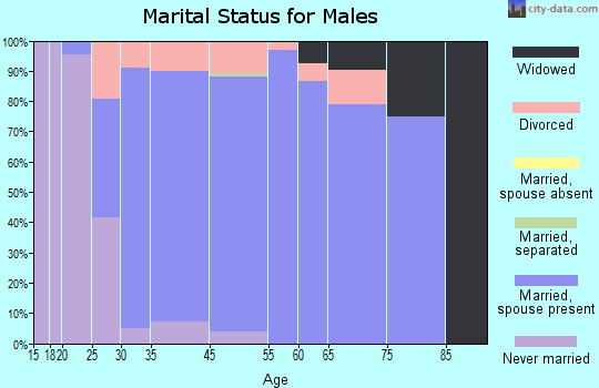 Minooka marital status for males