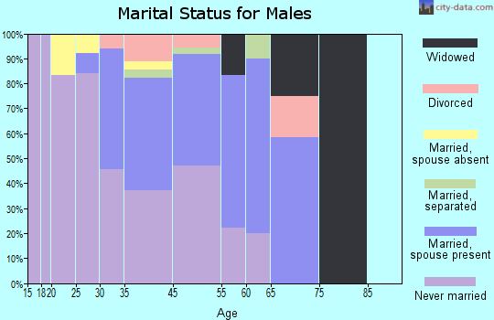 Emmonak marital status for males