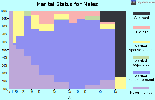 Morrison marital status for males