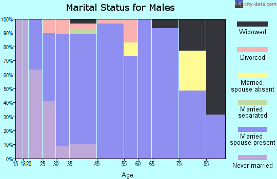 Moweaqua marital status for males