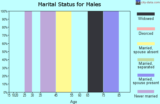 Excursion Inlet marital status for males