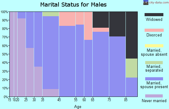 Neponset marital status for males