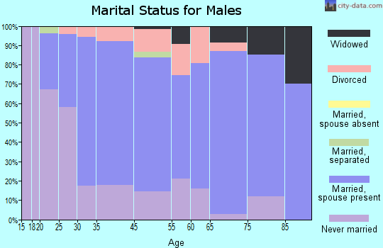 New Baden marital status for males