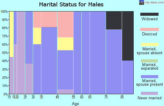 New Holland marital status for males