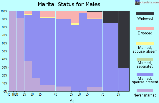 New Lenox marital status for males