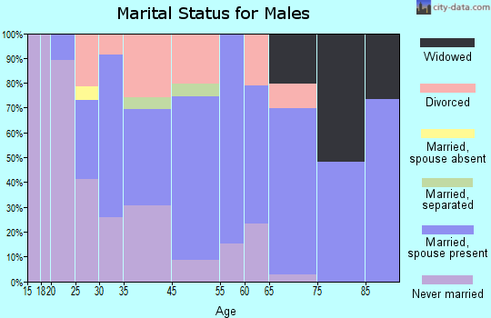 Brundidge marital status for males