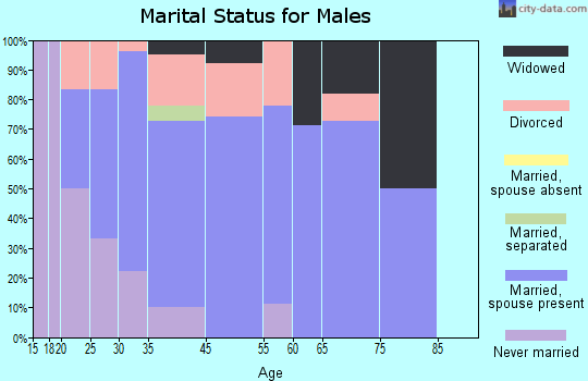 New Millford marital status for males