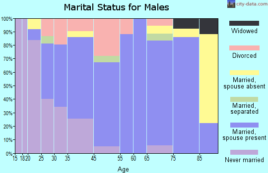 Nokomis marital status for males