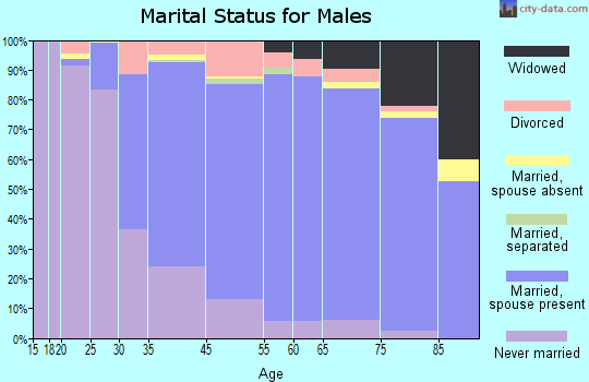 Norridge marital status for males