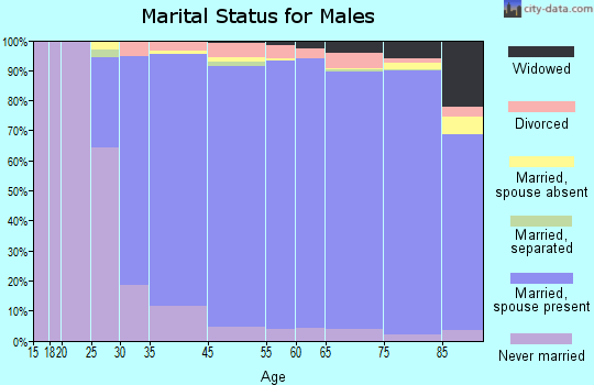 Northbrook marital status for males