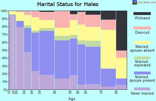 North Chicago marital status for males