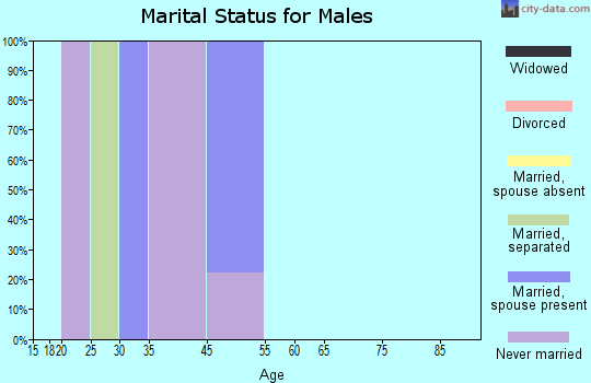 Four Mile Road marital status for males