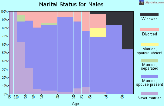 Palestine marital status for males