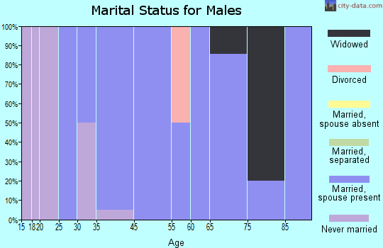 Palmer marital status for males