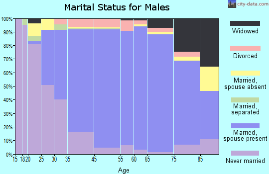 Palos Heights marital status for males
