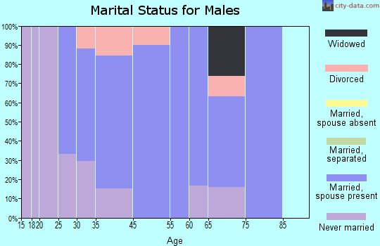 Pesotum marital status for males