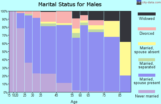 Alexander City marital status for males