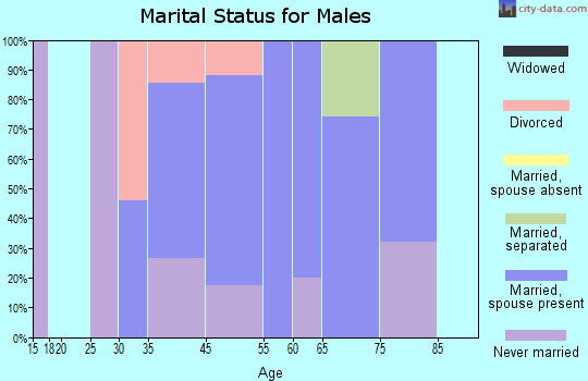 Funny River marital status for males