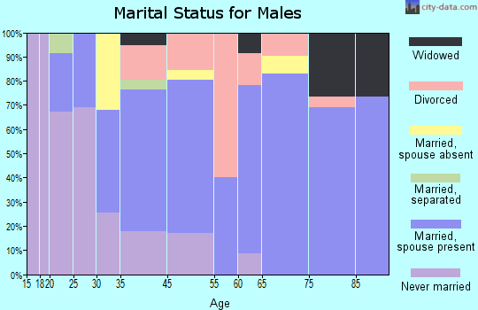 Petersburg marital status for males