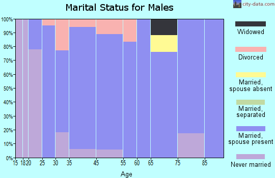 Pleasant Plains marital status for males