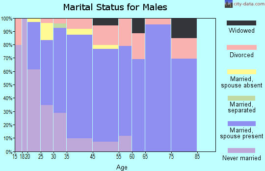Pontoon Beach marital status for males