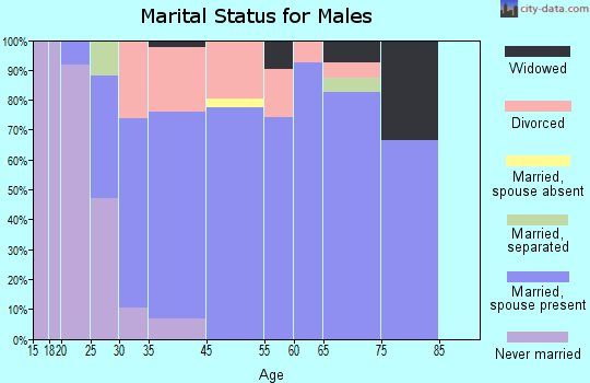 Rapids City marital status for males