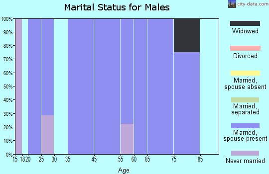 Raritan marital status for males