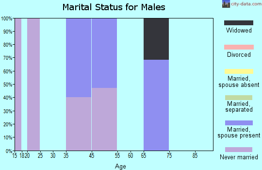 Glacier View marital status for males