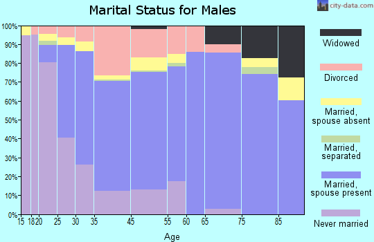 Rochelle marital status for males