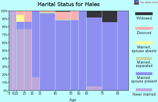 Rochester marital status for males