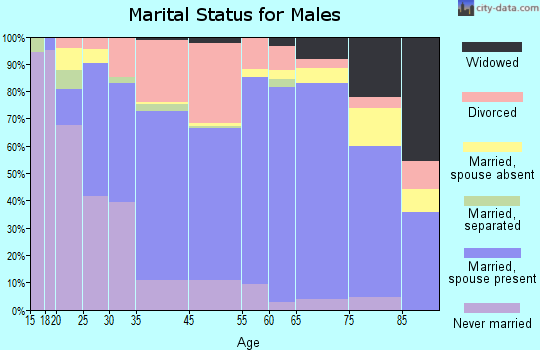 Rock Falls marital status for males