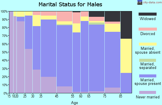 Rolling Meadows marital status for males