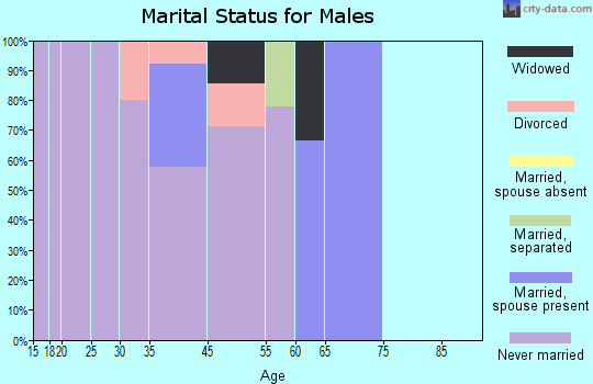 Goodnews Bay marital status for males
