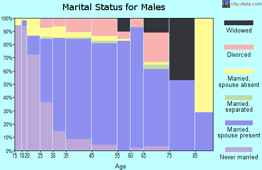 Round Lake Beach marital status for males