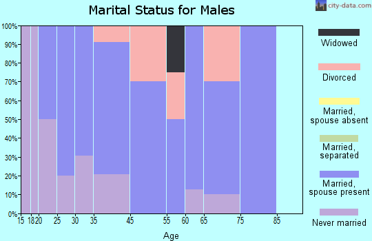 Sadorus marital status for males