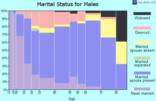 Salem marital status for males